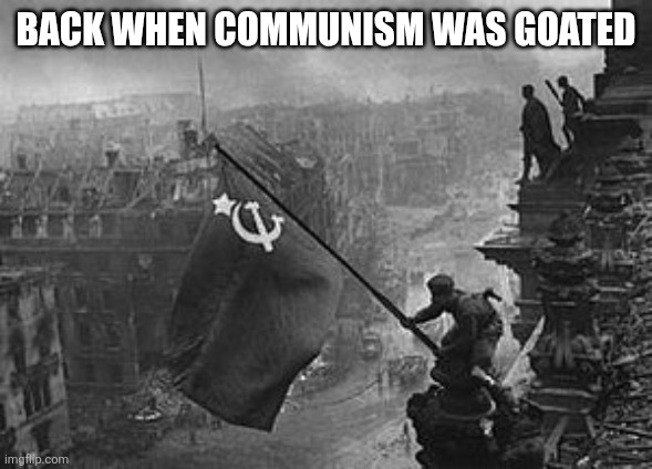 USSR flag | Back when communism was goated | image tagged in ussr flag | made w/ Imgflip meme maker