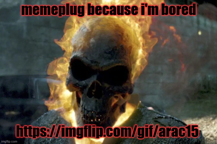 The Ghost Rider template | memeplug because i'm bored; https://imgflip.com/gif/arac15 | image tagged in the ghost rider template | made w/ Imgflip meme maker