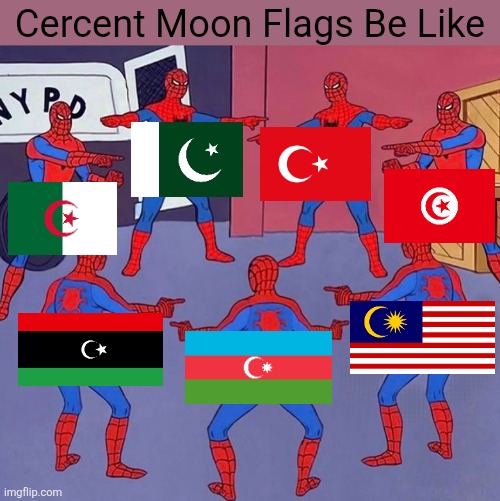 same spider man 7 | Cercent Moon Flags Be Like | image tagged in same spider man 7,country,flags | made w/ Imgflip meme maker