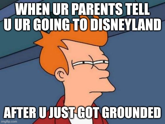 Futurama Fry | when ur parents tell u ur going to disneyland; after u just got grounded | image tagged in memes,futurama fry | made w/ Imgflip meme maker