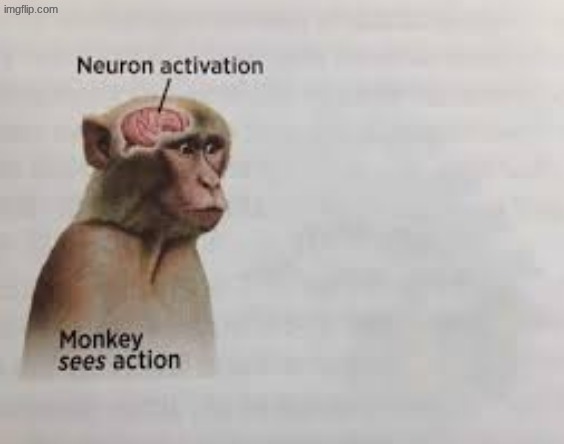 Neuron activation | image tagged in neuron activation | made w/ Imgflip meme maker