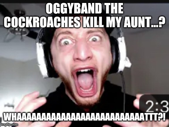 Wubbzy Reaction | Oggyband the cockroaches kill my aunt...? Whaaaaaaaaaaaaaaaaaaaaaaaaaattt?! | image tagged in wubbzy reaction | made w/ Imgflip meme maker