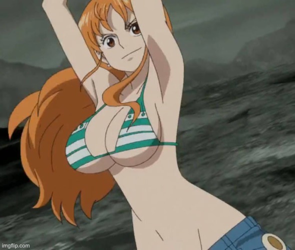 i nutted | image tagged in nami hot | made w/ Imgflip meme maker