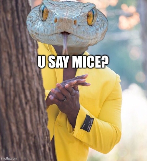 u say mice? | image tagged in black guy hiding behind tree | made w/ Imgflip meme maker