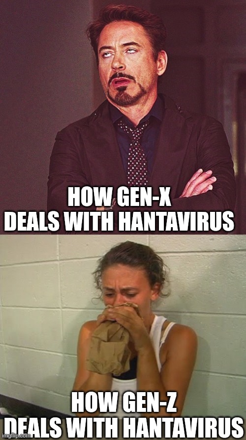 How you deal with viruses depends on when you were born | How gen-x deals with Hantavirus; How gen-z deals with Hantavirus | image tagged in robert downey jr rolling eyes,don't panic,virus,panic,keep calm,reactions | made w/ Imgflip meme maker