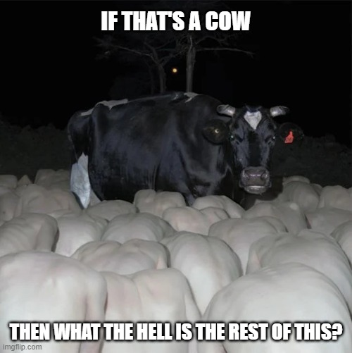 Cursed Cow | If that's a cow; Then what the hell is the rest of this? | image tagged in cursed-cow-v0-0impablbexyg1 webp | made w/ Imgflip meme maker
