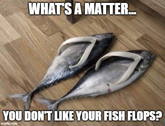 Fish Flops | What's a matter... you don't like your fish flops? | image tagged in b6472721961e0a927533be5fff66168b jpg | made w/ Imgflip meme maker