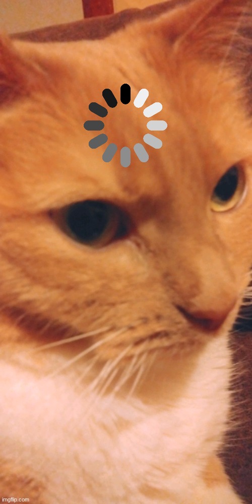 Orange has the confusion | image tagged in orange has the confusion | made w/ Imgflip meme maker