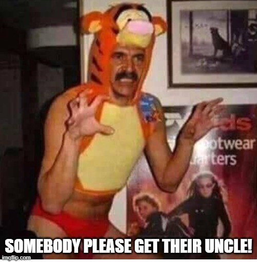 Uncle Tigger | Somebody please get their uncle! | image tagged in ee0cf820206128c09064197a7b63076a jpg | made w/ Imgflip meme maker