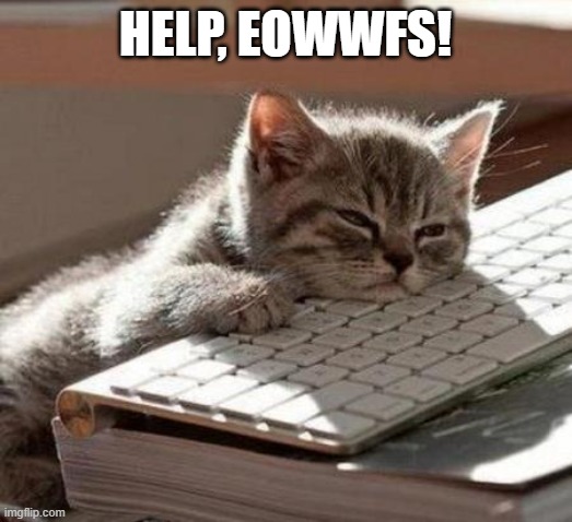 End Of Work Week Fatigue Syndrome | Help, EOWWFS! | image tagged in tired cat | made w/ Imgflip meme maker