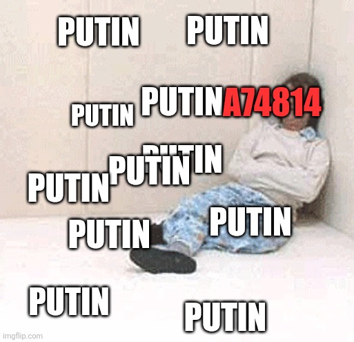 a74814: my memes are critical of trump, you idiot. Is Putin in the room with you right now? | Putin; Putin; Putin; a74814; Putin; Putin; Putin; Putin; Putin; Putin; Putin; Putin | image tagged in padded cell room 1 | made w/ Imgflip meme maker