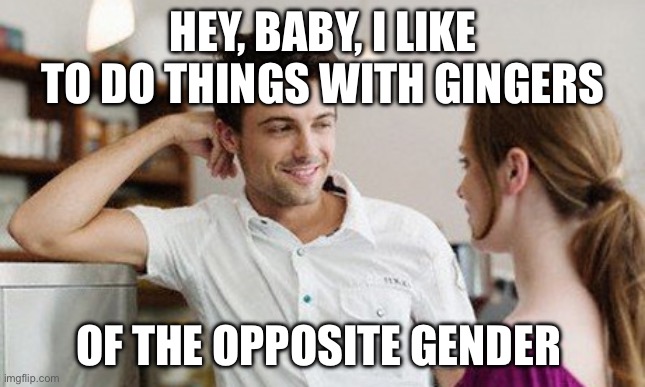 Gingers | Hey, baby, i like to do things with gingers; Of the opposite gender | image tagged in flirt,funny,ginger,redheads | made w/ Imgflip meme maker