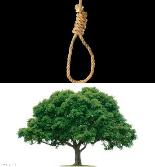 image tagged in lynch rope | made w/ Imgflip meme maker