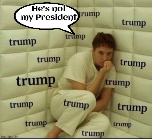TDS sufferer | He's not
my President | image tagged in tds sufferer | made w/ Imgflip meme maker