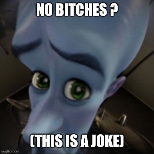 Megamind peeking | No bitches ? (This is a joke) | image tagged in megamind peeking | made w/ Imgflip meme maker