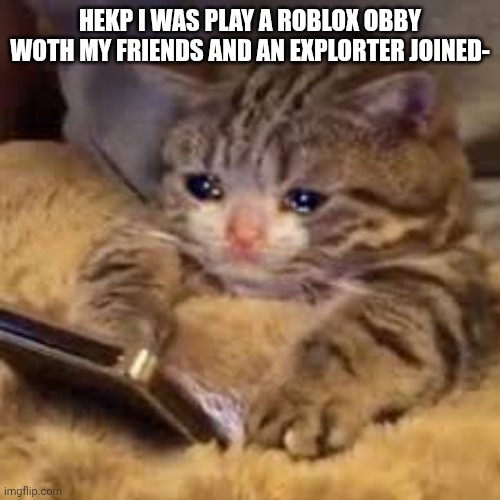 Well I can say I experienced "a roblox hacking" now | HEKP I WAS PLAY A ROBLOX OBBY WOTH MY FRIENDS AND AN EXPLORTER JOINED- | image tagged in sad cat looking at phone | made w/ Imgflip meme maker