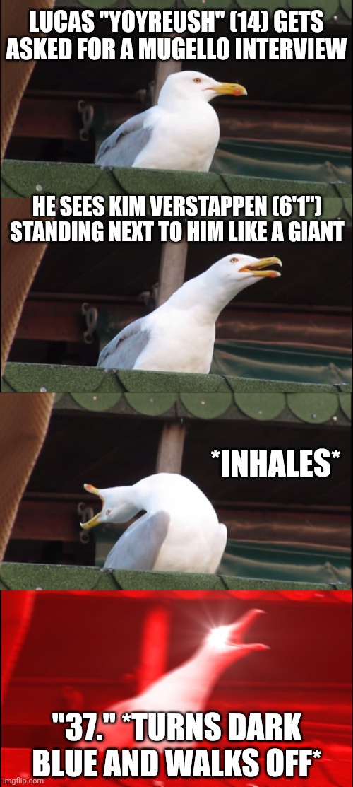 Inhaling Seagull Meme | LUCAS "YOYREUSH" (14) GETS ASKED FOR A MUGELLO INTERVIEW; HE SEES KIM VERSTAPPEN (6'1") STANDING NEXT TO HIM LIKE A GIANT; *INHALES*; "37." *TURNS DARK BLUE AND WALKS OFF* | image tagged in memes,inhaling seagull | made w/ Imgflip meme maker