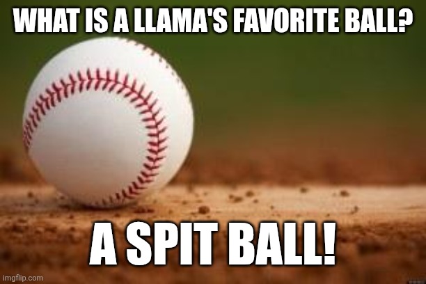Happy MLB season! | What is a Llama's favorite ball? A spit ball! | image tagged in baseball,memes,funny,llama | made w/ Imgflip meme maker