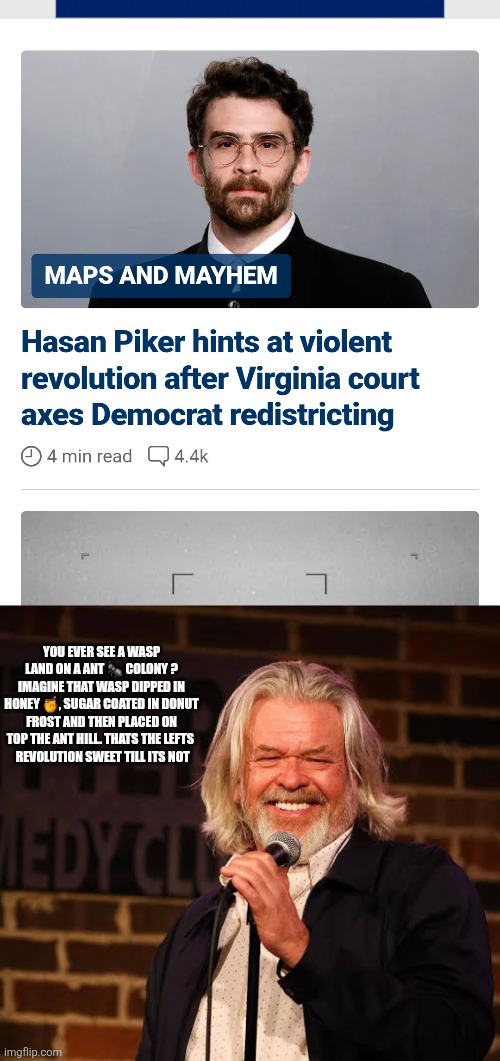 leftist call for revolution, ants get memo | You ever see a wasp land on a ant 🐜 colony ? Imagine that wasp dipped in honey 🍯, sugar coated in donut frost and then placed on top the ant hill. Thats the lefts 
 revolution sweet till its not | image tagged in wf,ants | made w/ Imgflip meme maker