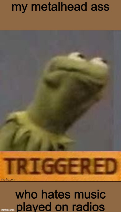 Kermit Triggered | my metalhead ass who hates music played on radios | image tagged in kermit triggered | made w/ Imgflip meme maker