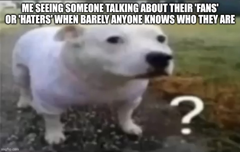 ???? | Me seeing someone talking about their 'fans' or 'haters' when barely anyone knows who they are | image tagged in memes,dog,confused,confused dog | made w/ Imgflip meme maker
