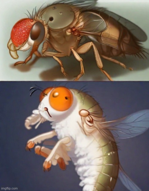 Fruchtfliege 2 | image tagged in fruchtfliege | made w/ Imgflip meme maker