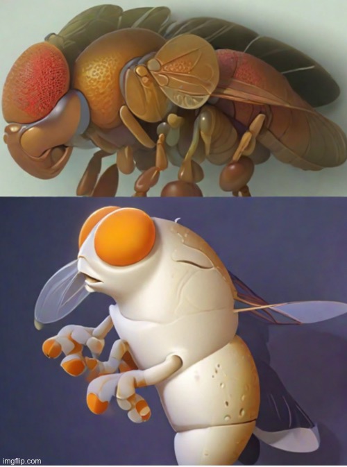 Fruchtfliege 4 | image tagged in fruchtfliege | made w/ Imgflip meme maker
