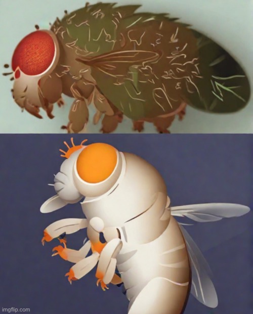 Fruchtfliege 9 | image tagged in fruchtfliege | made w/ Imgflip meme maker