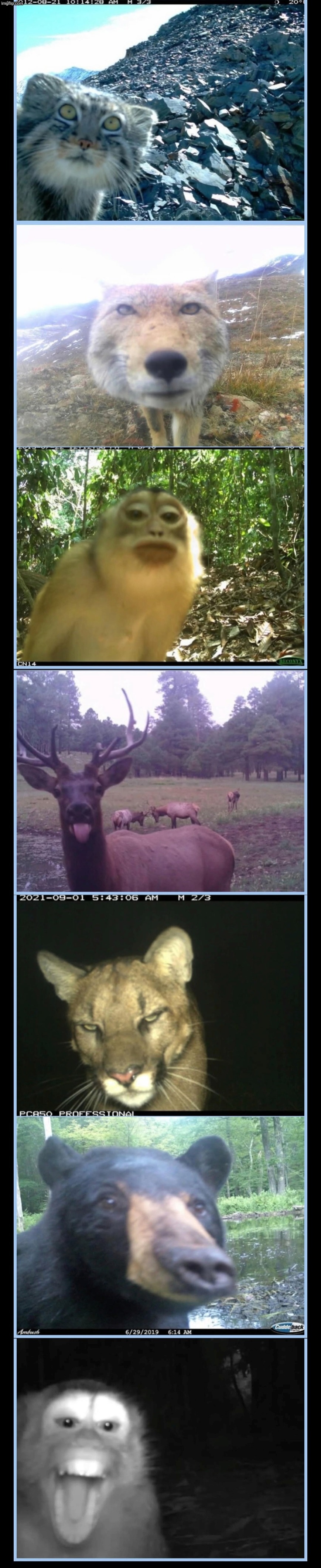 Which one are you? Im the last one. | image tagged in arbbbv jpg | made w/ Imgflip meme maker