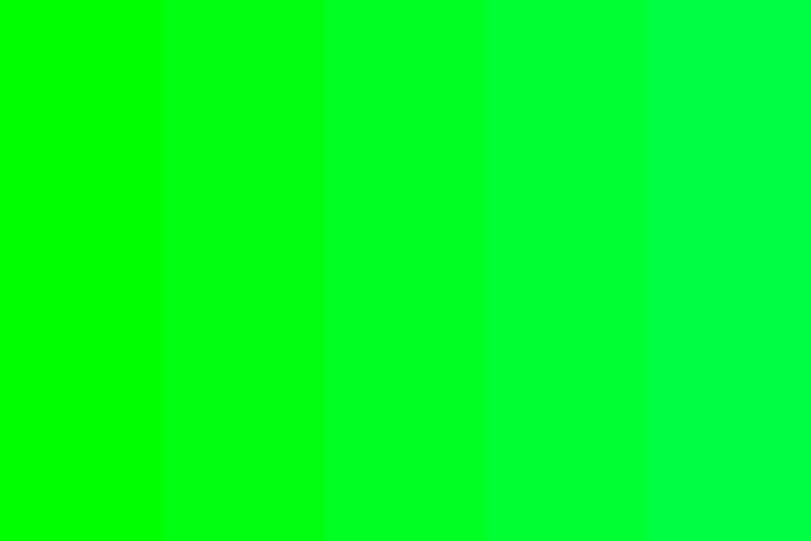 Color Blank Meme Template
