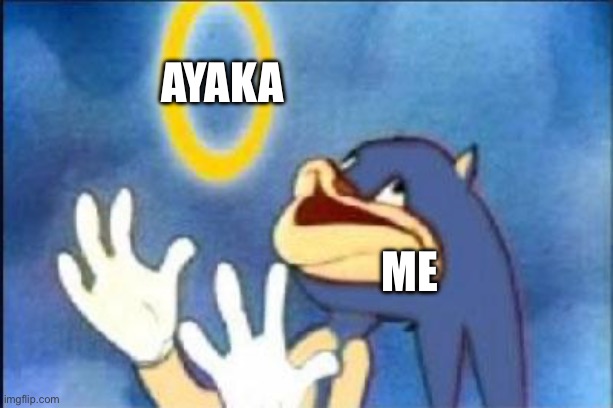 Sonic derp | Ayaka; Me | image tagged in sonic derp | made w/ Imgflip meme maker