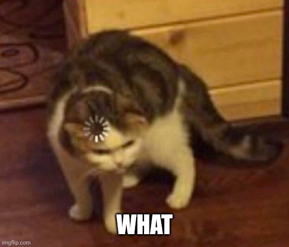 what | image tagged in thinking cat | made w/ Imgflip meme maker