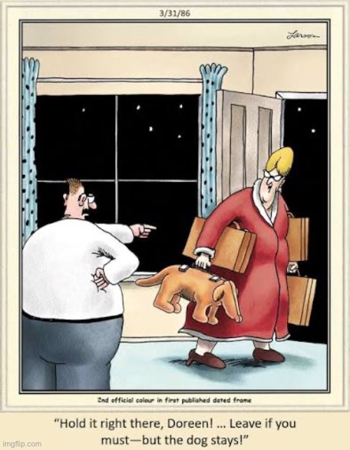 There’d better be air holes in that thing! | image tagged in the far side,comics,husband,wife,dog,he stays | made w/ Imgflip meme maker