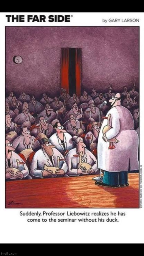 That’s just ducky… or not | image tagged in the far side,comics,scientists,ducks,seminar,forgot | made w/ Imgflip meme maker