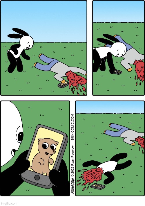 Buni Comics | image tagged in comics,buni comics,heads exploding,image,cute animal picture,deadly | made w/ Imgflip meme maker