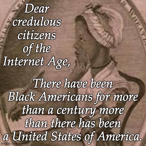 Dear credulous citizens of the Internet Age, There have been Black Americans for more than a century more than there has been a United State | made w/ Imgflip meme maker