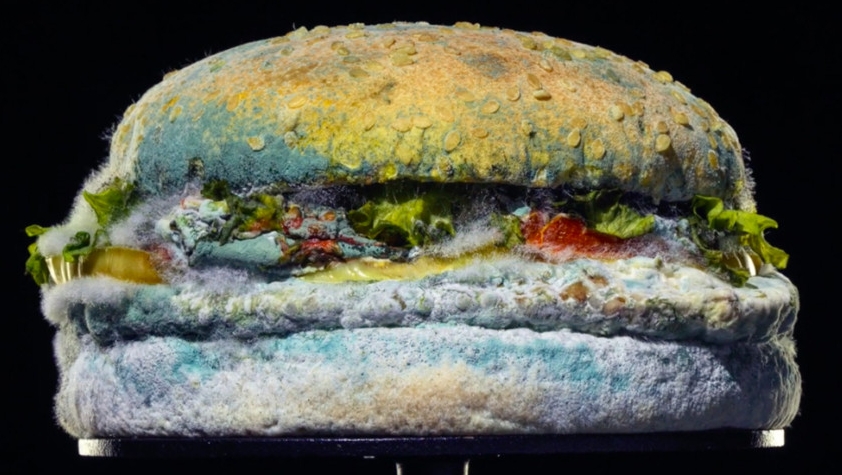 burger king food Blank Meme Template
