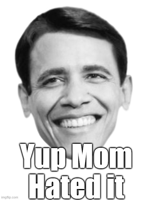 Yup Mom Hated it | made w/ Imgflip meme maker
