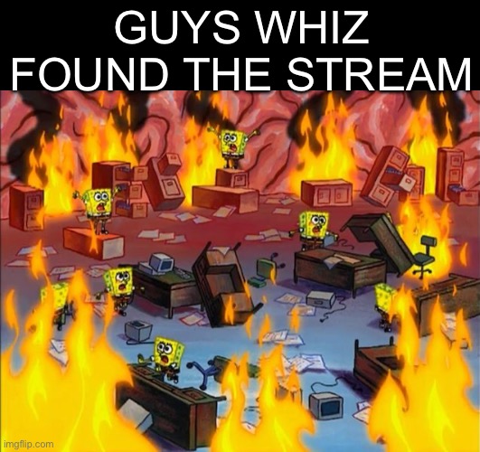 OH NO WHAT DO I DO AHH | GUYS WHIZ FOUND THE STREAM | image tagged in spongebob fire,memes | made w/ Imgflip meme maker