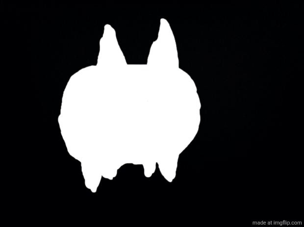 Black background | image tagged in black background | made w/ Imgflip meme maker