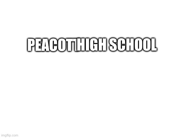 Peacott High school | made w/ Imgflip meme maker