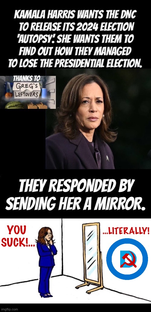 She’s oblivious to her own ineptitude | image tagged in political meme,kamala harris,2024 election,why we lost,look in the mirror,you suck | made w/ Imgflip meme maker