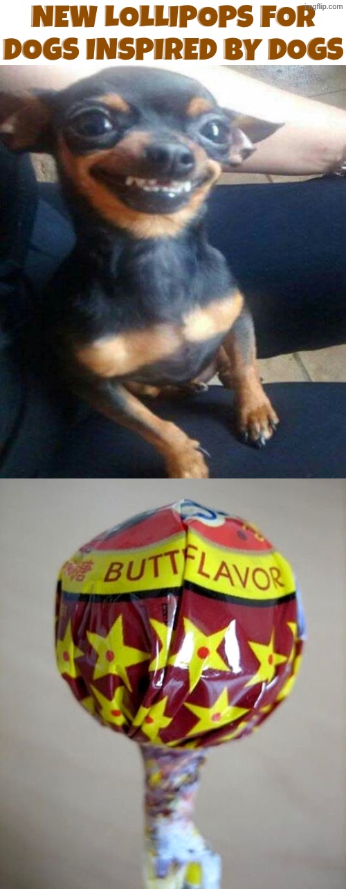 Lollipops For Dogs | New lollipops for dogs inspired by dogs | image tagged in dogs,funny dogs,lollipop,butt,flavor flav,yuck | made w/ Imgflip meme maker