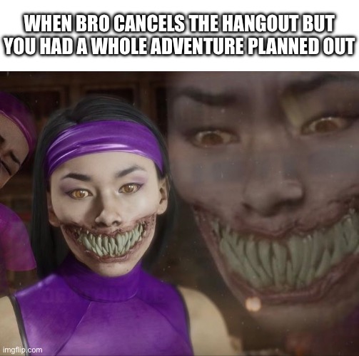 bro why you canceling | When bro cancels the hangout but you had a whole adventure planned out | image tagged in mortal kombat,funny meme | made w/ Imgflip meme maker