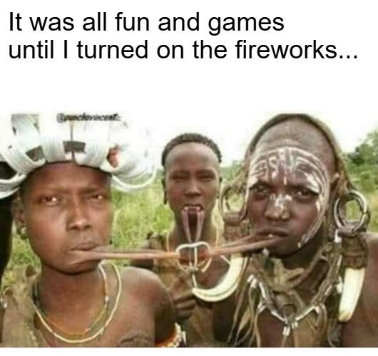 It was all fun and games until I turned on the fireworks... | image tagged in funny,memes | made w/ Imgflip meme maker