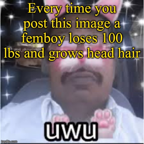 most indian femboy | Every time you post this image a femboy loses 100 lbs and grows head hair | image tagged in most indian femboy | made w/ Imgflip meme maker