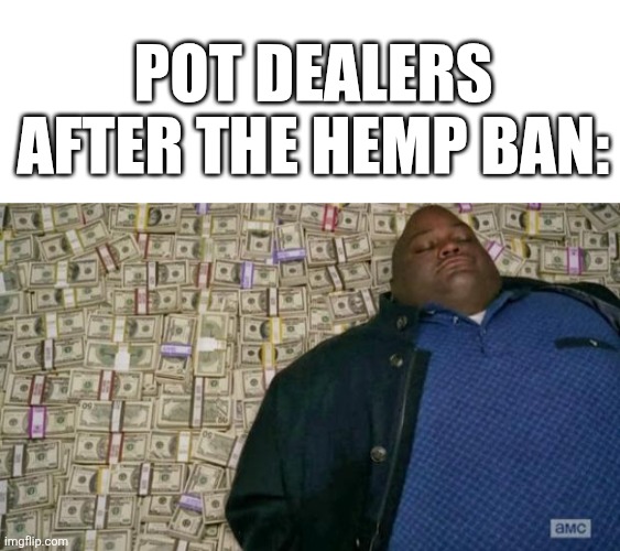 They're seriously making a huge mistake here. | Pot dealers after the hemp ban: | image tagged in blank white template,huell money,weed,drugs,political meme | made w/ Imgflip meme maker