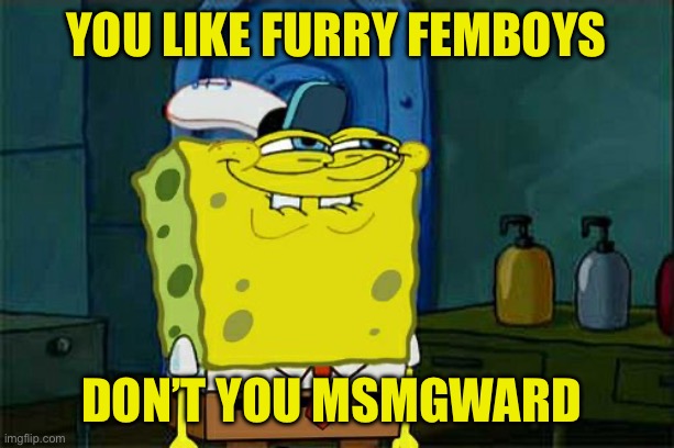 Don't You Squidward Meme | You like furry femboys; Don’t you msmgward | image tagged in memes,don't you squidward | made w/ Imgflip meme maker