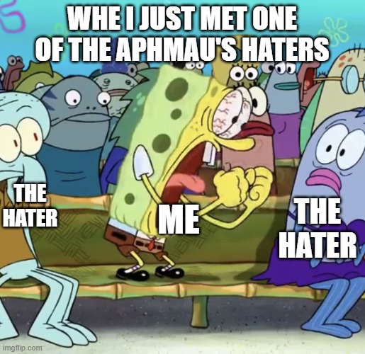 Good Fan who hates Aphmau haters | Whe i just met one of the Aphmau's haters; me; The hater; the hater | image tagged in spongebob yelling | made w/ Imgflip meme maker