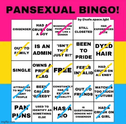 Pansexual Bingo | image tagged in pansexual bingo | made w/ Imgflip meme maker